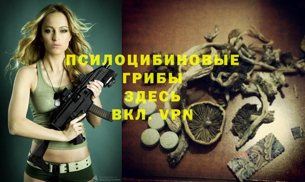a pvp Лиски