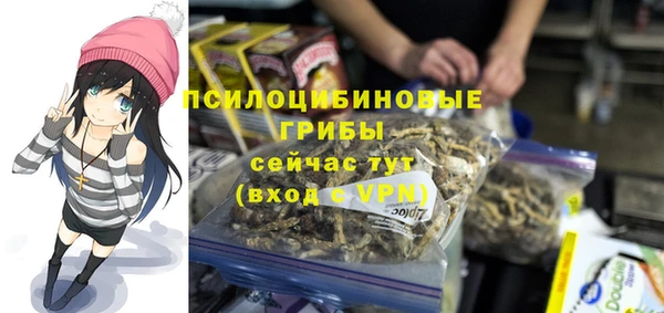 мет Магас