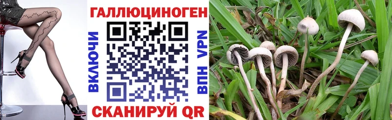 Галлюциногенные грибы GOLDEN TEACHER  Комсомольск-на-Амуре 
