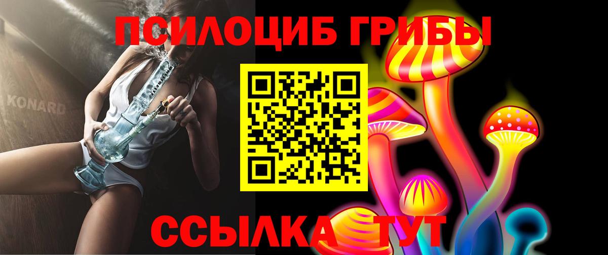 Галлюциногенные грибы Psilocybe  купить   Комсомольск-на-Амуре  Вход с VPN 